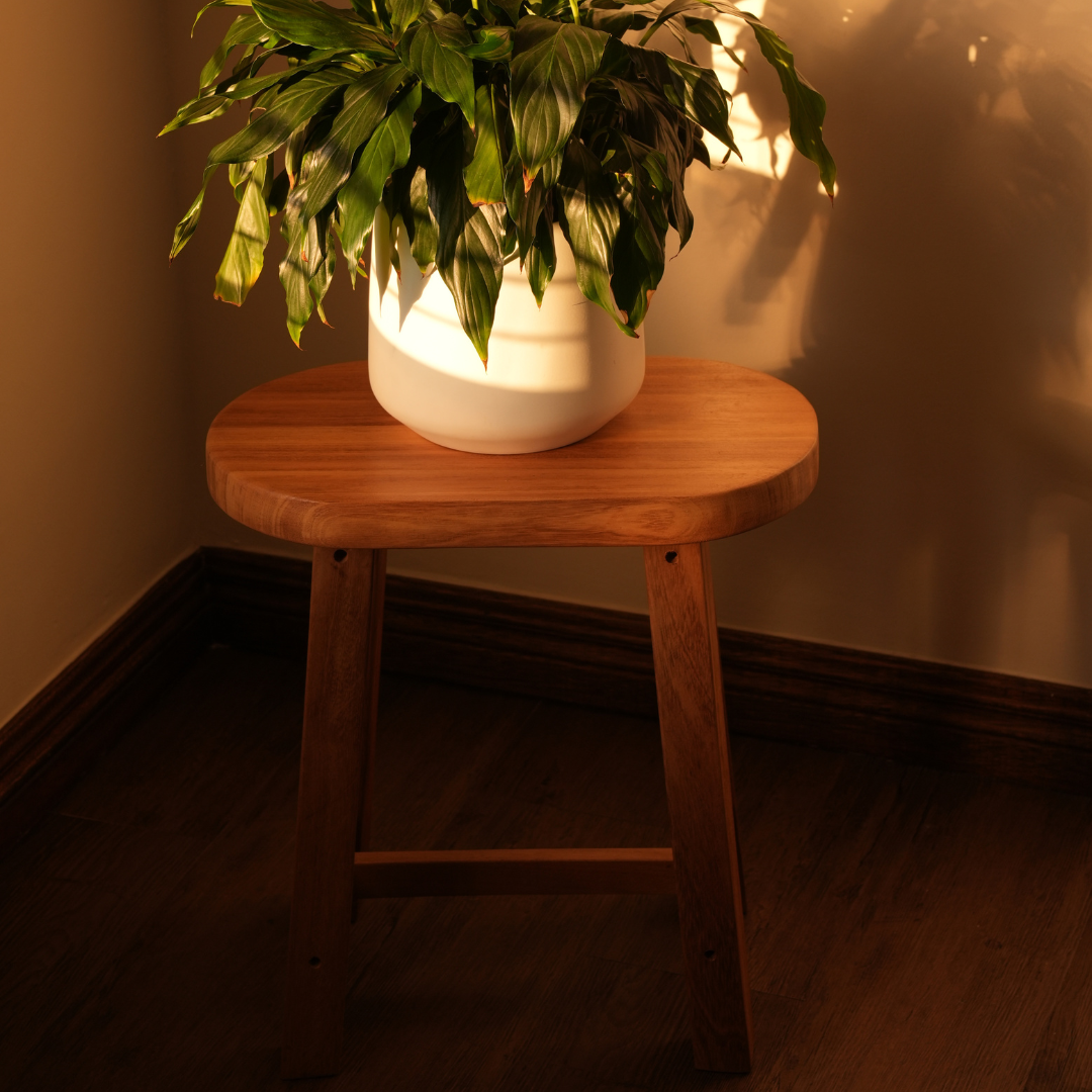 Koa Iroko stool